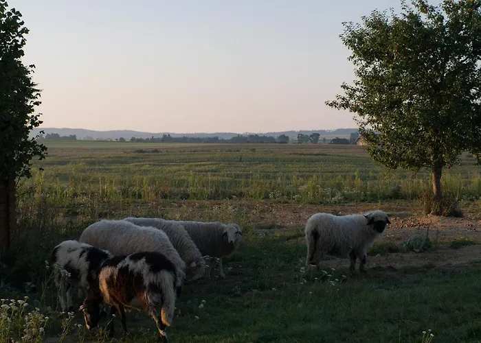 Zweibettzimmer Am Bauernhof Mit Tieren 3* Waidhofen an der Thaya